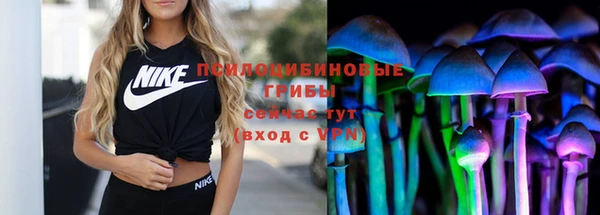 молекула духа Михайловка