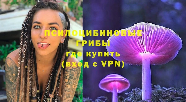 гашик Михайловск