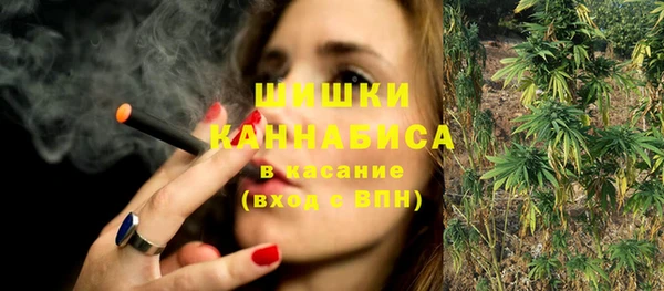 PSILOCYBIN Медногорск