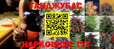 сатива Заволжье