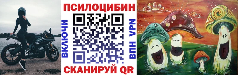 KRAKEN сайт  Дзержинск  Псилоцибиновые грибы ЛСД 