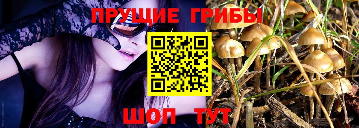 Псилоцибиновые грибы прущие грибы Дзержинск