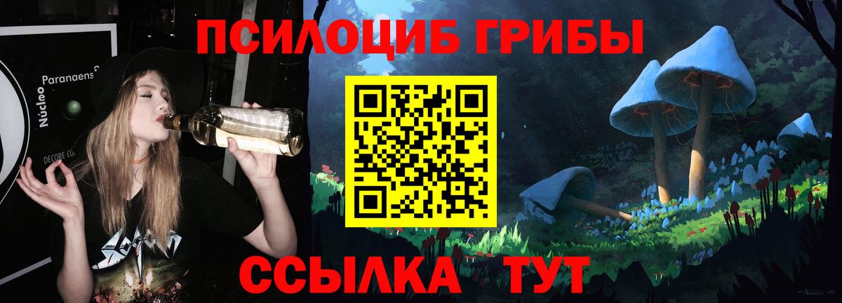 Дзержинск  Псилоцибиновые грибы GOLDEN TEACHER  Вход с VPN 