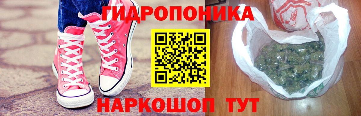 Бошки Шишки план Дзержинск